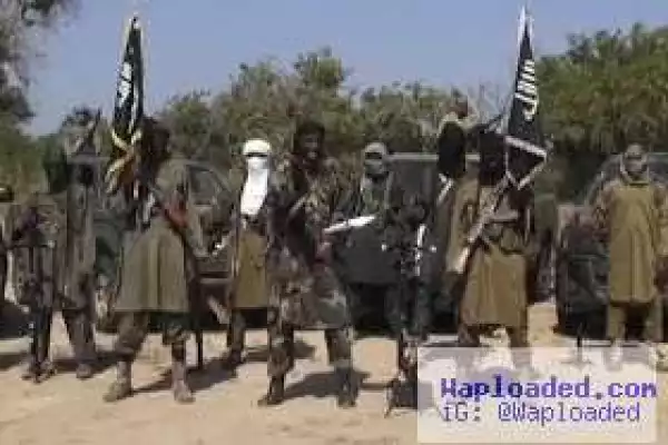 Many feared dead as Boko Haram attacks Borno village